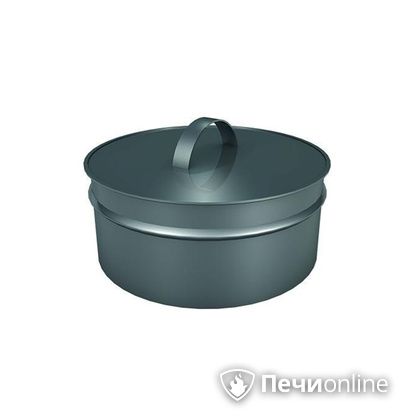 Заглушки Теплов и Сухов Заглушка ревизии Термо-Р 304 0.5 D250(150) в Сургуте