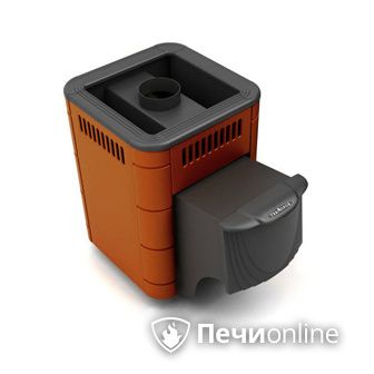 Дровяная банная печь TMF Оса Carbon терракота дверь антрацит в Сургуте