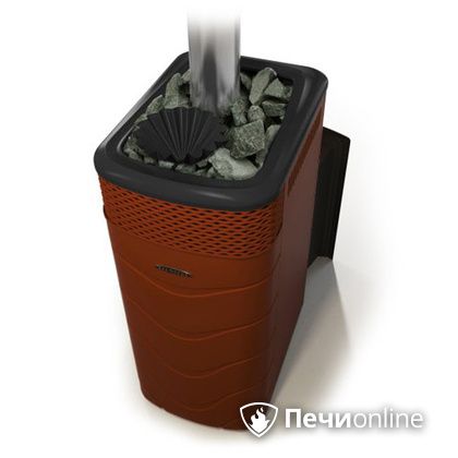 Дровяная банная печь TMF Гейзер XXL 2017 Inox Витра закрытая каменка терракота в Сургуте